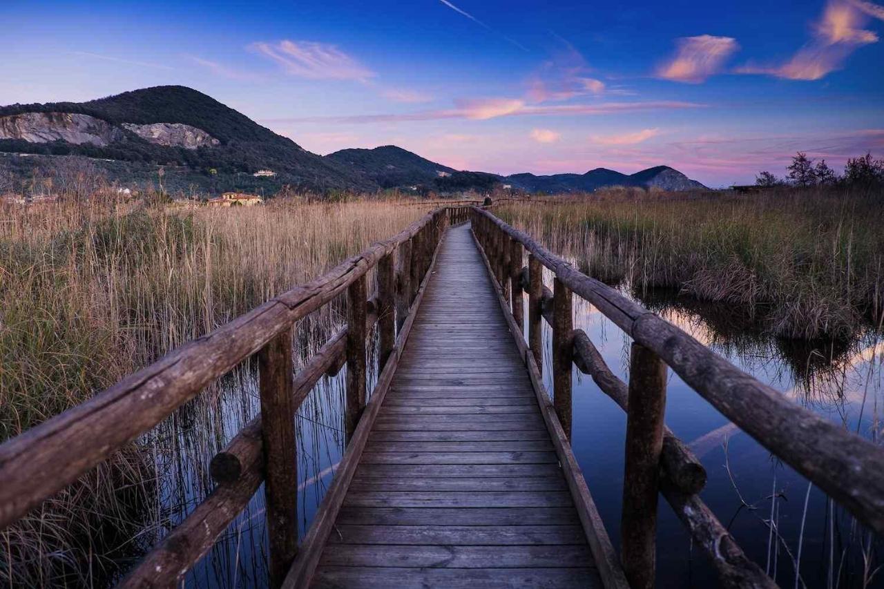 I Levrieri Hotel Torre del Lago Puccini Buitenkant foto