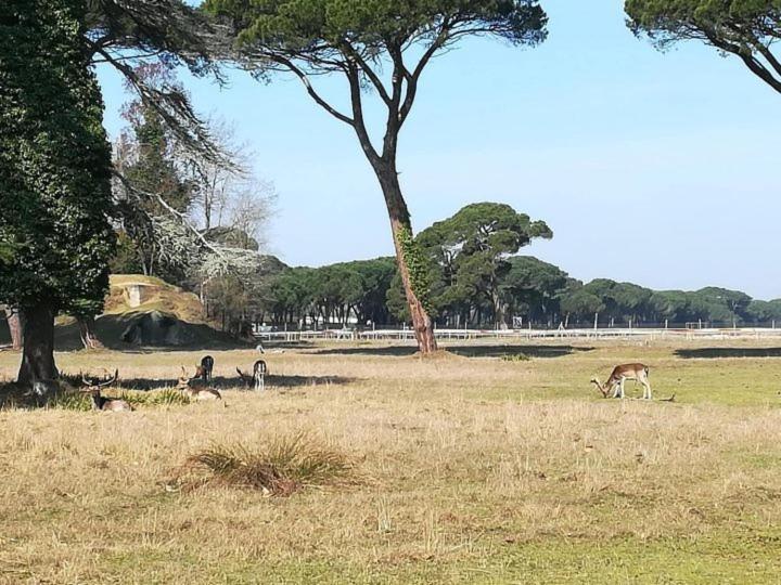 I Levrieri Hotel Torre del Lago Puccini Buitenkant foto